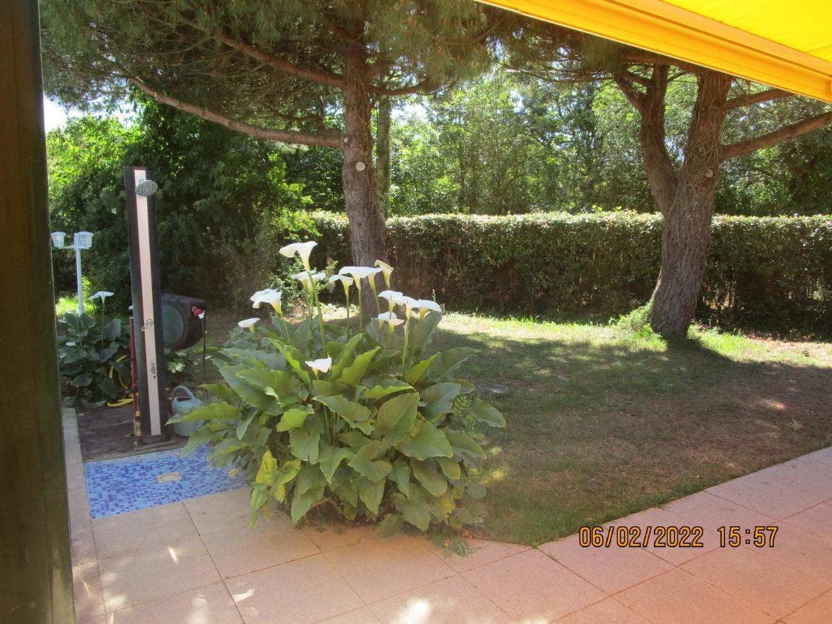 Bed and Breakfast Locatlantique Aytré Zewnętrze zdjęcie
